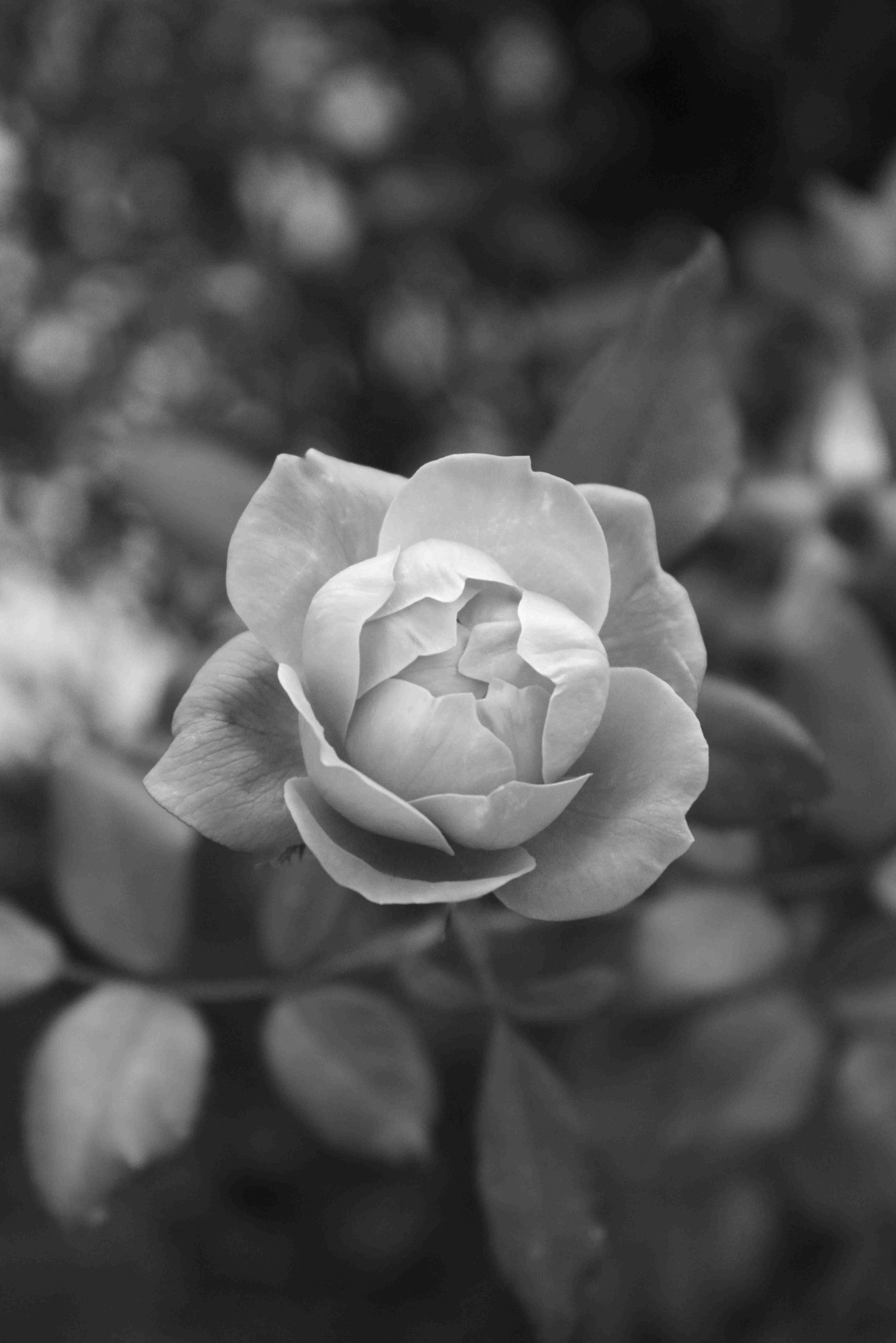 One